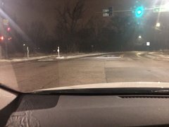 Odocoileus virginianus