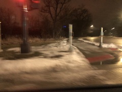 Odocoileus virginianus