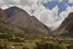 Austrocactus philippii