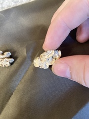 Steccherinaceae