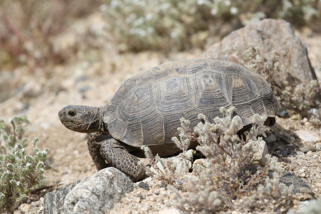 Finding Climate Refuge