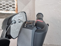 Lepidodactylus lugubris