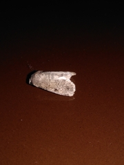 Pandesma