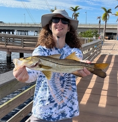 Centropomus undecimalis