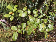 © JODY HSIEH, some rights reserved (CC-BY-NC)