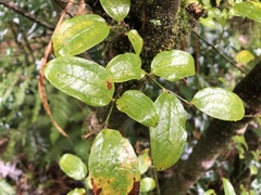 © JODY HSIEH, some rights reserved (CC-BY-NC)