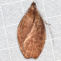 Gelechiini