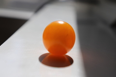 Solanum lycopersicum cerasiforme