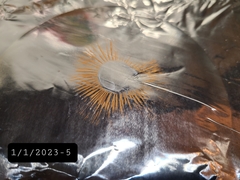 Thaxterogaster purpurascens