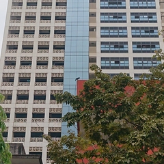 Corvus macrorhynchos levaillantii