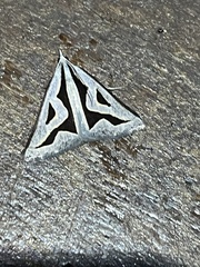 Dichromodes personalis