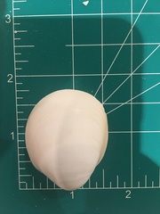 Laevicardium serratum