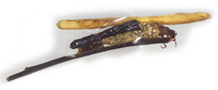 Anabolia
