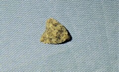 Tolpia conscitulana
