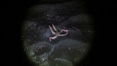 Pisaster brevispinus