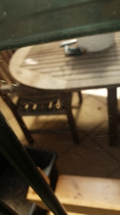 Cryptachaea veruculata