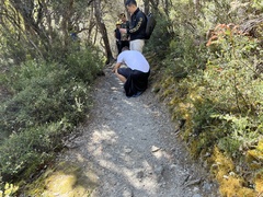 Tachyglossus aculeatus setosus