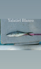 Elagatis bipinnulata