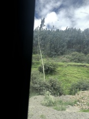 Agave cordillerensis