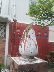 Bronchocela jubata