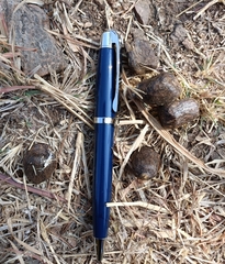 Boselaphus tragocamelus