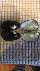 Sagittunio subrostratus