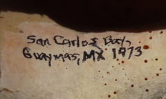 Triplofusus princeps