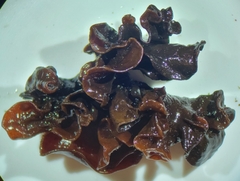 Phaeotremella frondosa