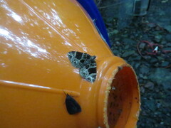 Gandaritis atricolorata