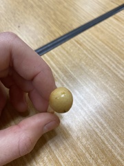 Leratiomyces percevalii