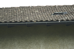 Phoenicurus ochruros