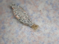 Phereoeca