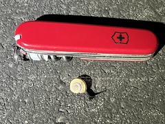 Cahuillus indioensis