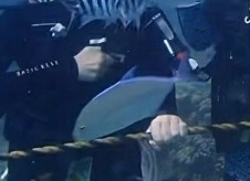 Caranx melampygus