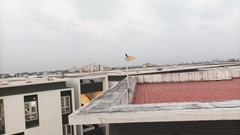 Dicrurus macrocercus