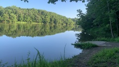 Lanmaoa