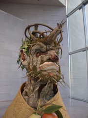 Ganoderma