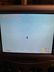 Baeospora myriadophylla