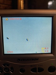 Baeospora myriadophylla