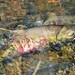 Chum Salmon - Photo (c) Chris Lima, some rights reserved (CC BY-NC), uploaded by Chris Lima