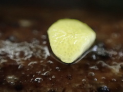 Trichoderma gelatinosum