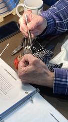 Melanerpes carolinus