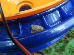 Pseudorthodes vecors