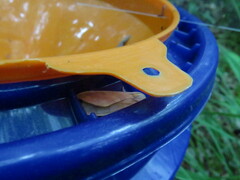 Halysidota tessellaris