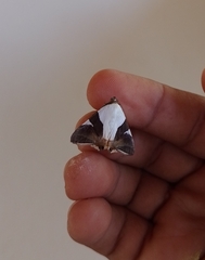 Eulepidotis rectimargo