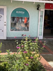 Orthorhyncus cristatus