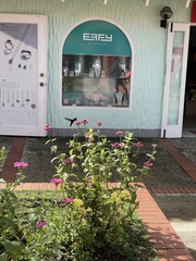 Orthorhyncus cristatus