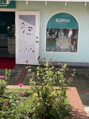 Orthorhyncus cristatus