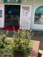 Orthorhyncus cristatus