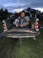 Atractosteus spatula